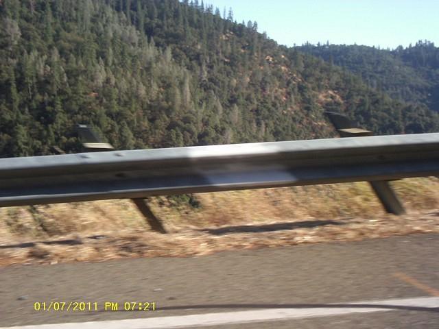 IMAG0045