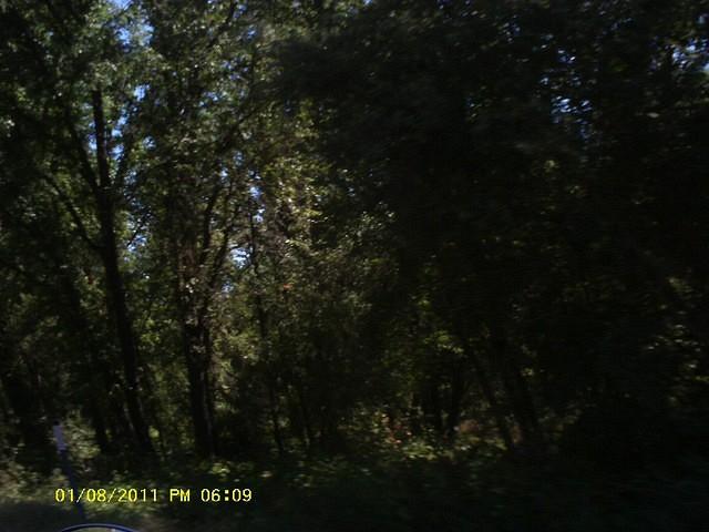 IMAG0066