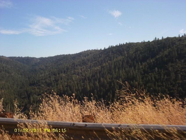 IMAG0075