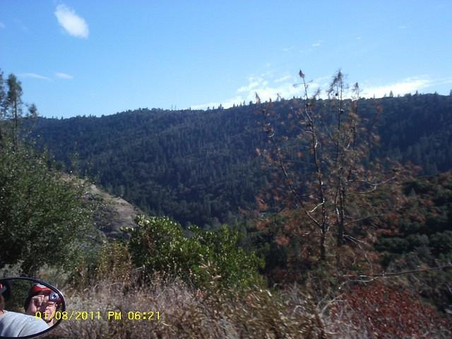 IMAG0080