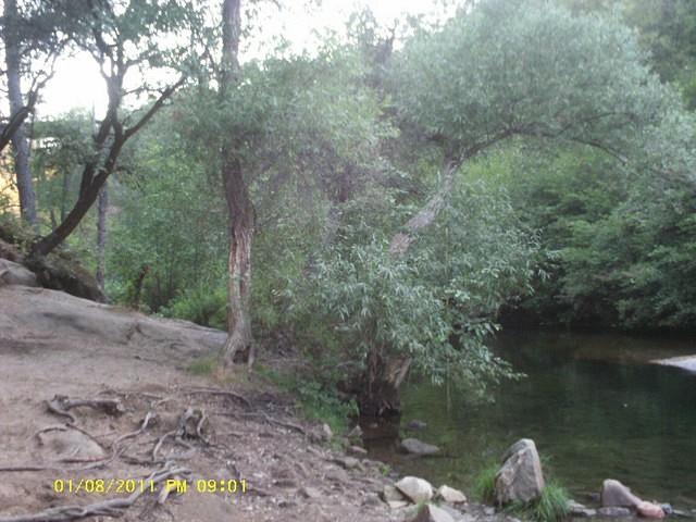 IMAG0084