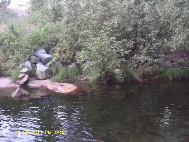 IMAG0086