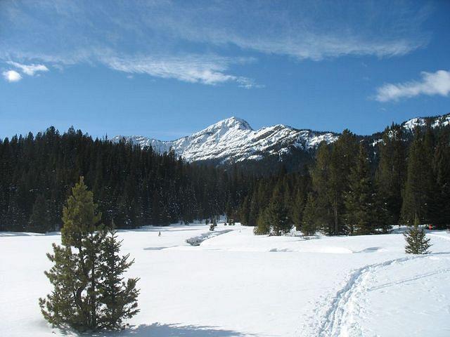 snowshoeing