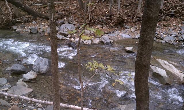 IMG_20111023_132427.jpg
