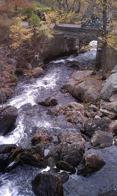 IMG_20111023_135732.jpg