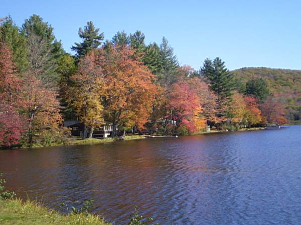 PA100050.jpg