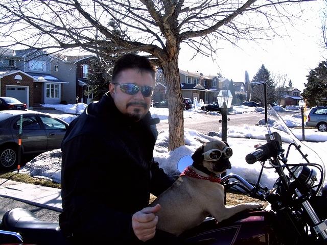 Me, Harley and the Goldwing[b]