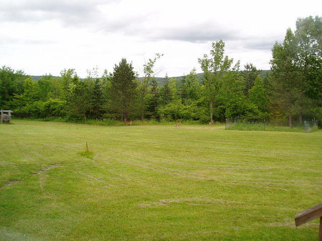 P7070225