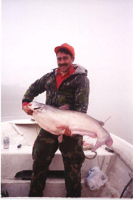 Whisker Fish