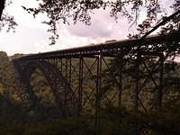 IMAG0302