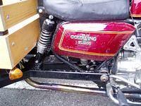 Susan's Trike