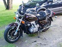 My Naked Goldwing!