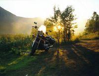 Midnight Sun Wing GL1200 std