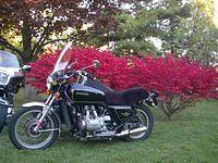 David's GL1000 sidecar