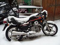 WinterCX.jpg