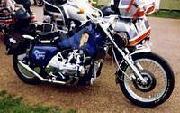 elvis 1 800
