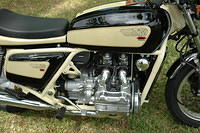 Condor0244