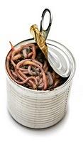 canofworms1