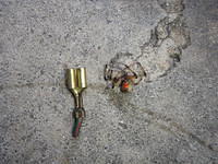 Found living inside the left rear saddlebag lightbar