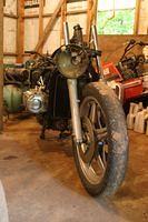 IMG_4545.jpg