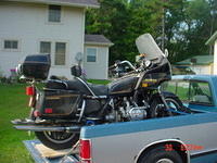 81 wing 089