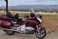 GoldWing Stable