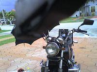 07-04-07_1416.jpg