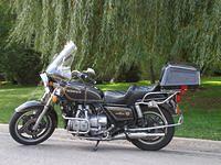 GL1100 in the shade of a willow tree. 