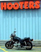 It's a Hoot!