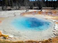 Fountain Paint Pot