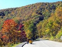 Terrapin Mountain