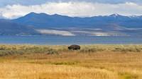 Yellowstone Lake 2