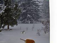 snow