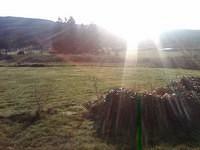 IMG00084-20100320-0832