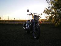 blue streak 046