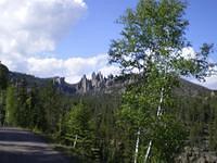custer state park