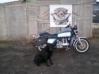shiny blue streak redeux 092