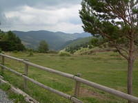 DSCN2929