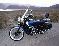 roberts_naked_goldwing