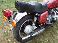 Bear's Bike Naked