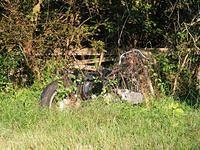derelict_bikes_007.jpg