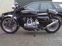 menkelwing44 gl1000