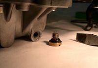 drain screw