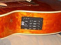 Accustic Electric Ibanez