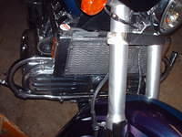 HPIM6220