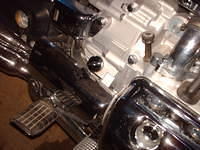 HPIM6221