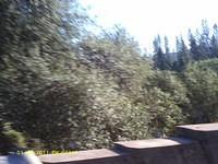 IMAG0051