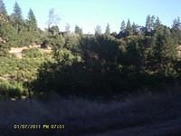 IMAG0054