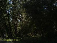 IMAG0066