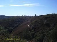 IMAG0068